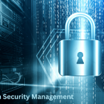 Information Security Management