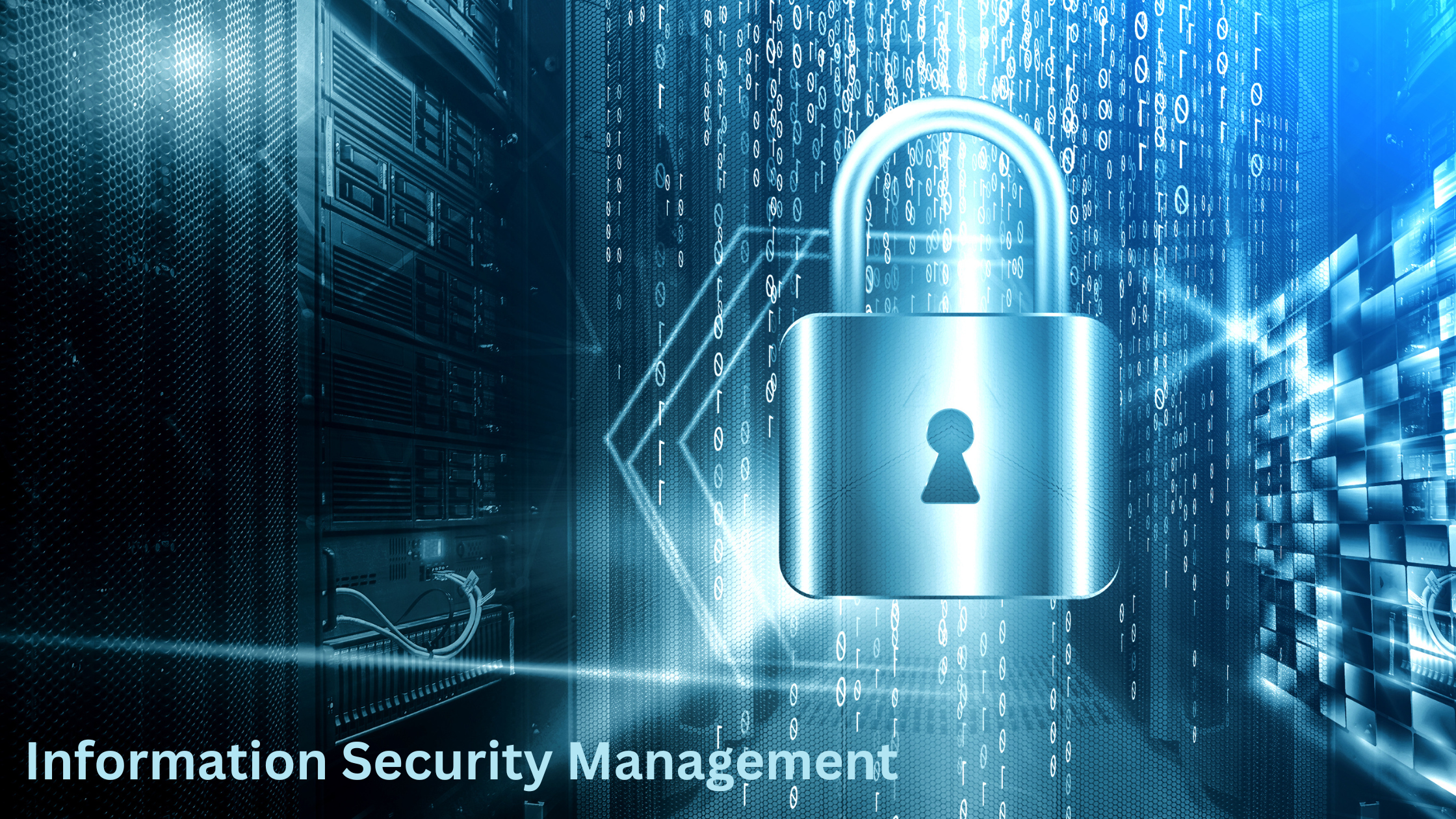 Information Security Management